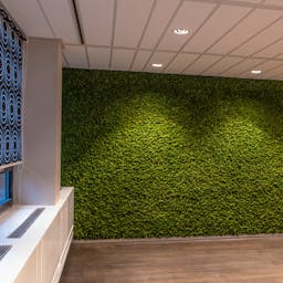 EASYmoss Wall - Akoestische moswand