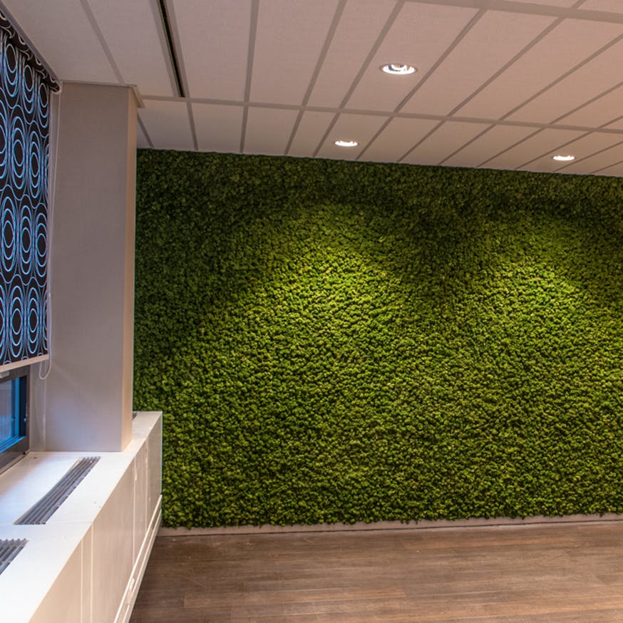 EASYmoss Wall - Akoestische moswand