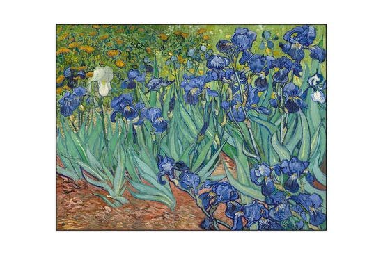 Akoestisch schilderij - Vincent van Gogh - Irises